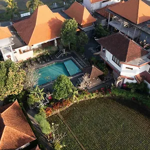 https://nicks-pension-bali.ubudhotelsnow.com